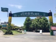 河岸森林農莊