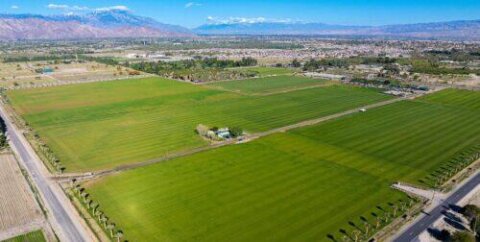 Empire Polo Club