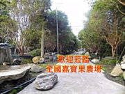 全國嘉寶果栽培推廣農場