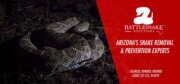 Rattlesnake Solutions LLC