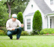 Lucky Lawn Services, Inc.