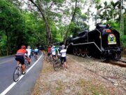 集集自行車道-綠色隧道段