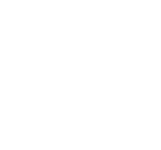 Snow Goose Produce