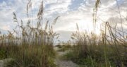 North Beach, Tybee Island