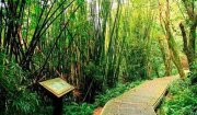荖寮坑礦業生態園區