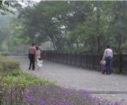 赤水崎公園