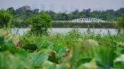 清遠湖園區