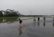 禾樂居民宿