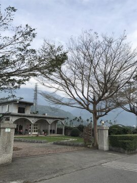 外觀