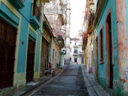The Latin Pig