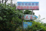 茶花莊