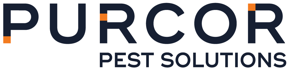 Pioneer Pest Management