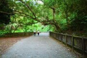 赤水崎步道