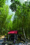 下腳店仔步道（奮起湖老老街）