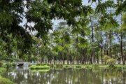 大東濕地公園