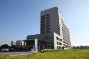 桃禧航空城酒店-新館