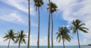 Provident Doral at The Blue Miami