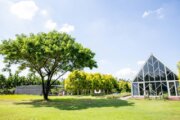 天使花園休閒農場