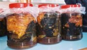 初鹿黃金果班