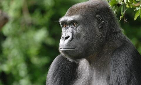Smithsonian’s National Zoo &amp; Conservation Biology Institute