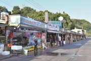 和平島觀光漁市