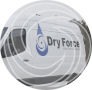 Dry Force Water Removal Specialists