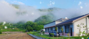 青山綠田民宿