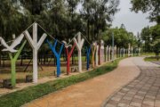 龍岡森林公園