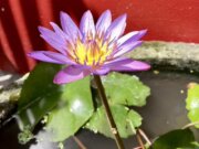 心適都蘭民宿