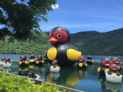 2023花蓮紅面鴨FUN暑假