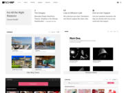 RichWP - Professional WordPress Themes &amp; Services