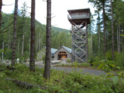 Tillamook State Forest
