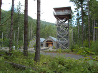 Tillamook State Forest