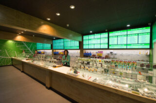 Cannabis &amp; Glass