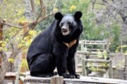 壽山動物園