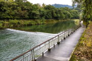 坪林觀魚步道
