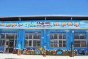 新北市衝浪運動教育園區