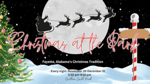 Plantations Apartments,Fayette,Al