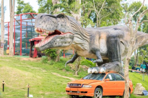 恐龍踩車