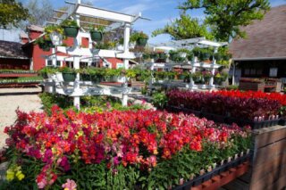 Sonny Acres Farm